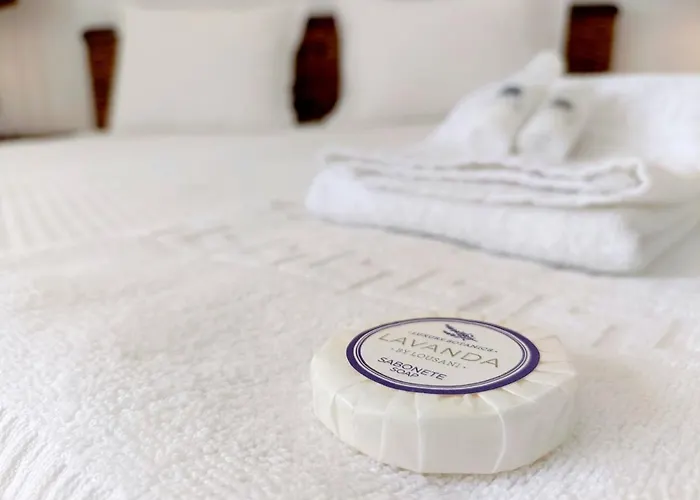 T3 Flat - Appartamento